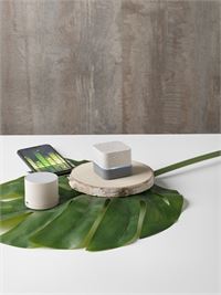 SPEAKER IN PAGLIA DI GRANO